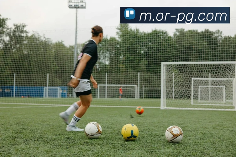 App Interface Preview